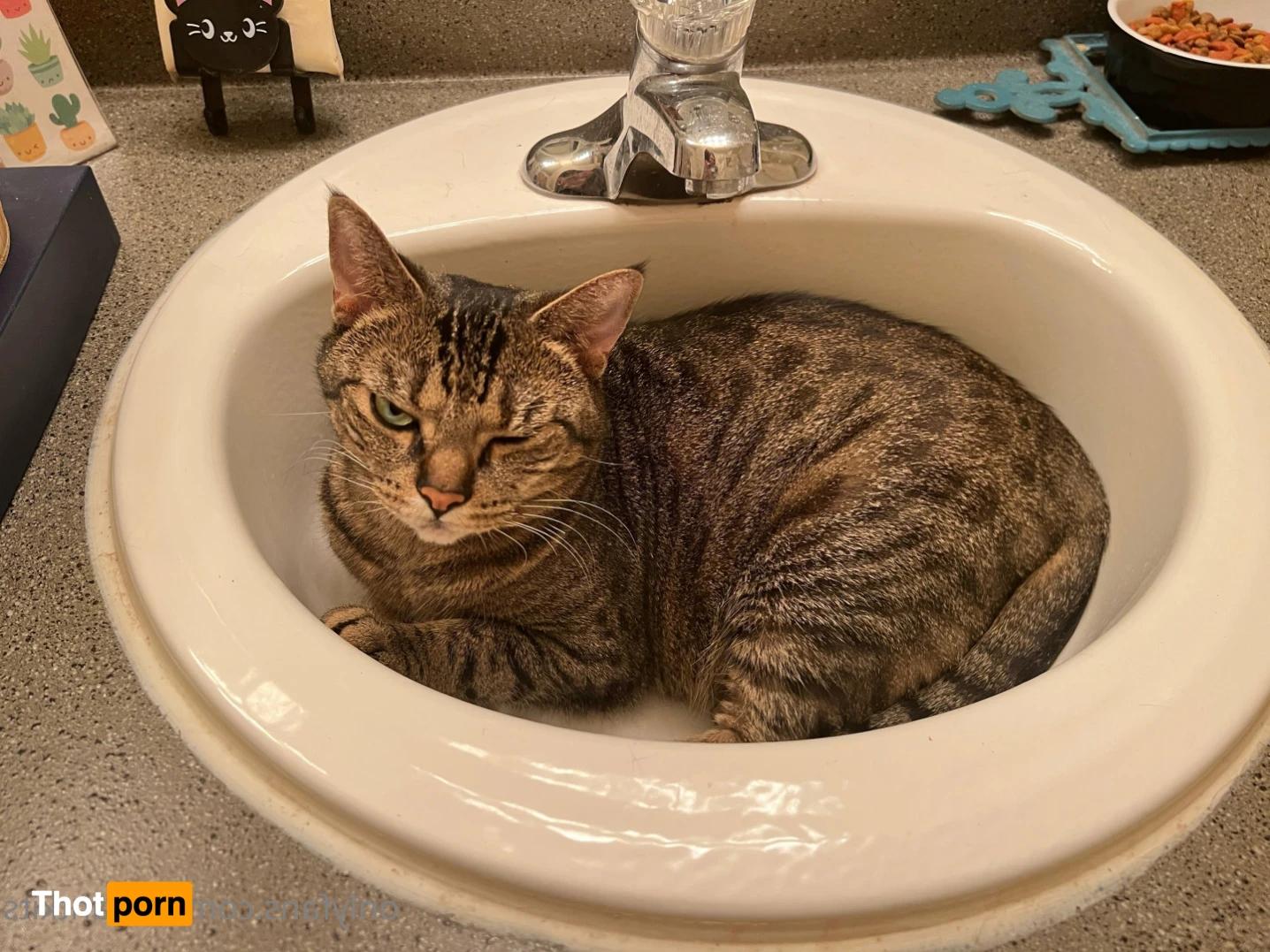 R a k i  🦊🍧 13061711