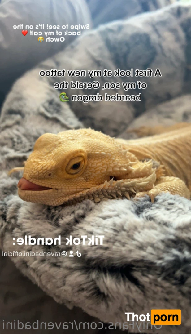 Raven Badini ✨FREE &amp; PROMO✨ 13032336