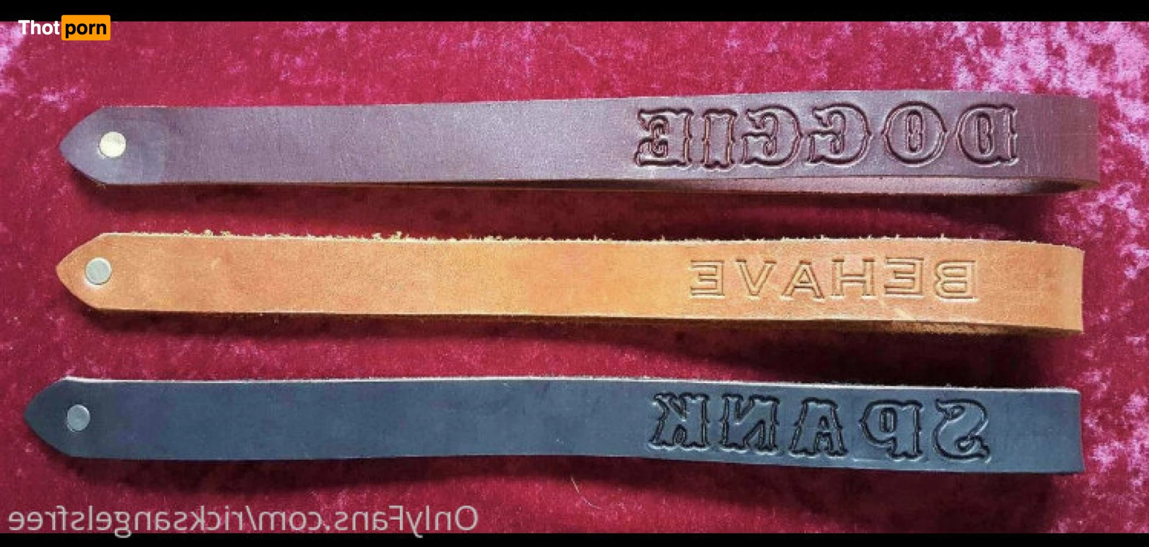 Ricks Daily themed Promo 3135019