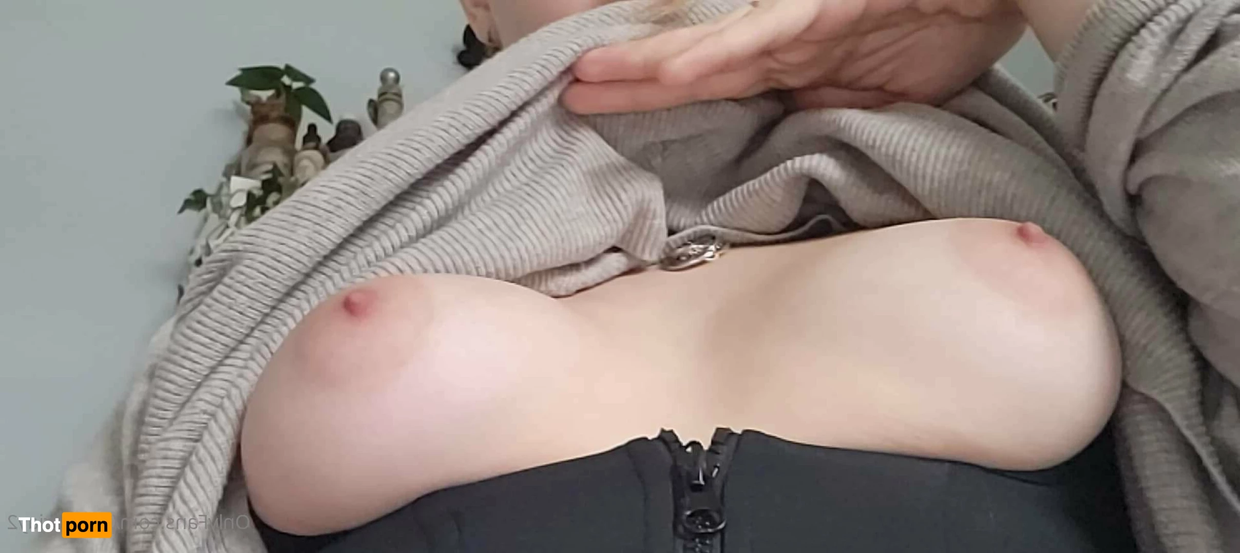 Juliet Taylor Briar 2762327