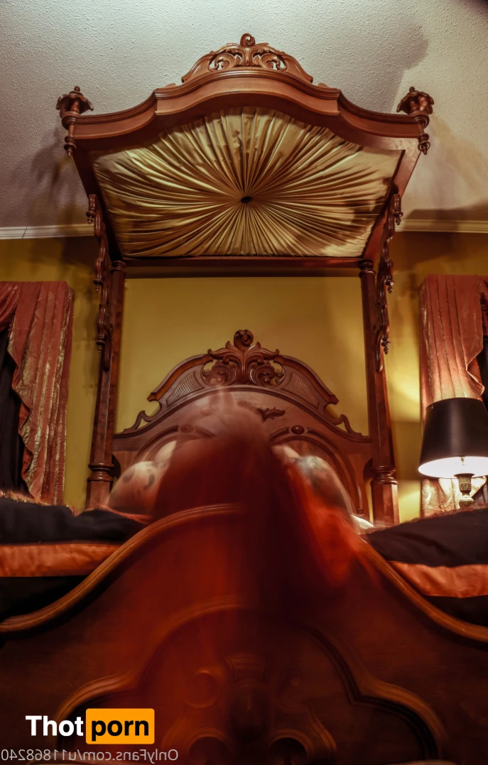 Rosa Magnolia 🌹 12843926