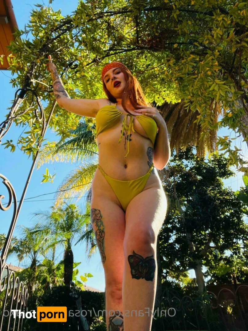 Rosa Magnolia 🌹 12843949