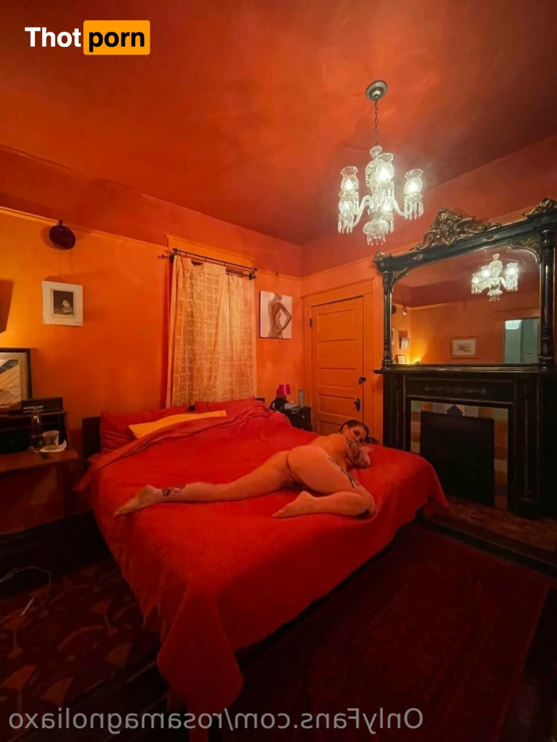 Rosa Magnolia 🌹 12844063