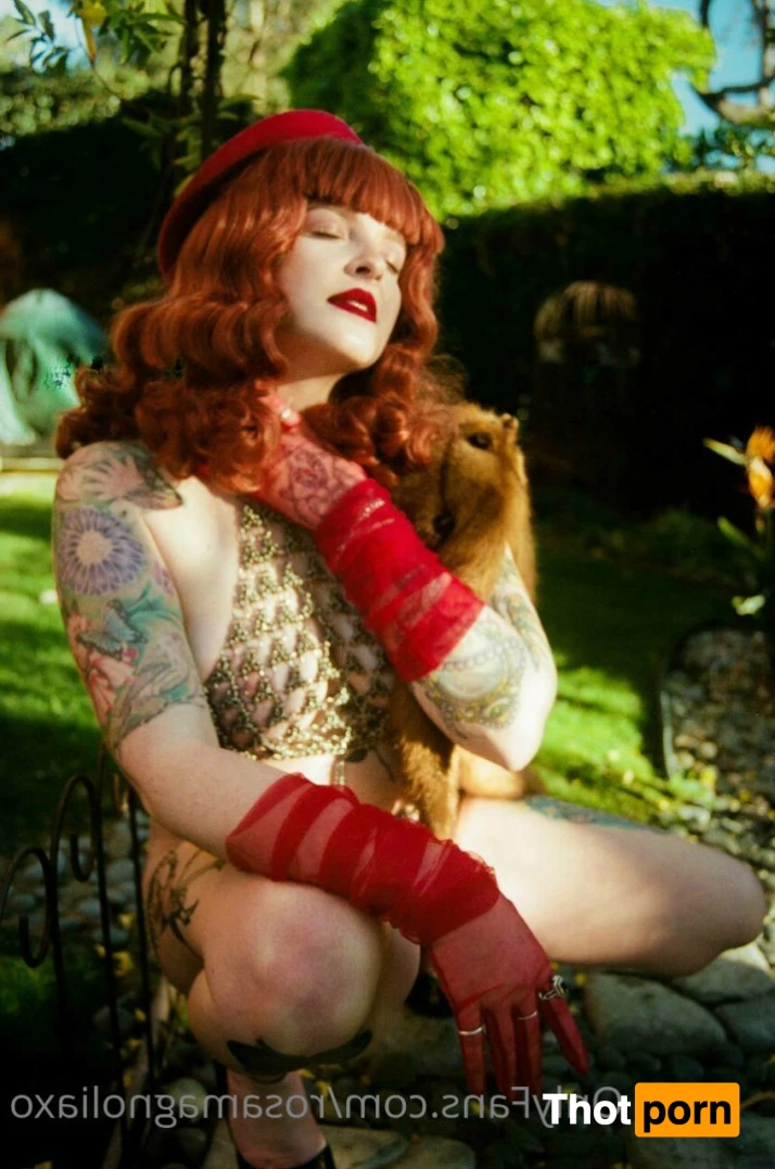 Rosa Magnolia 🌹 12844649