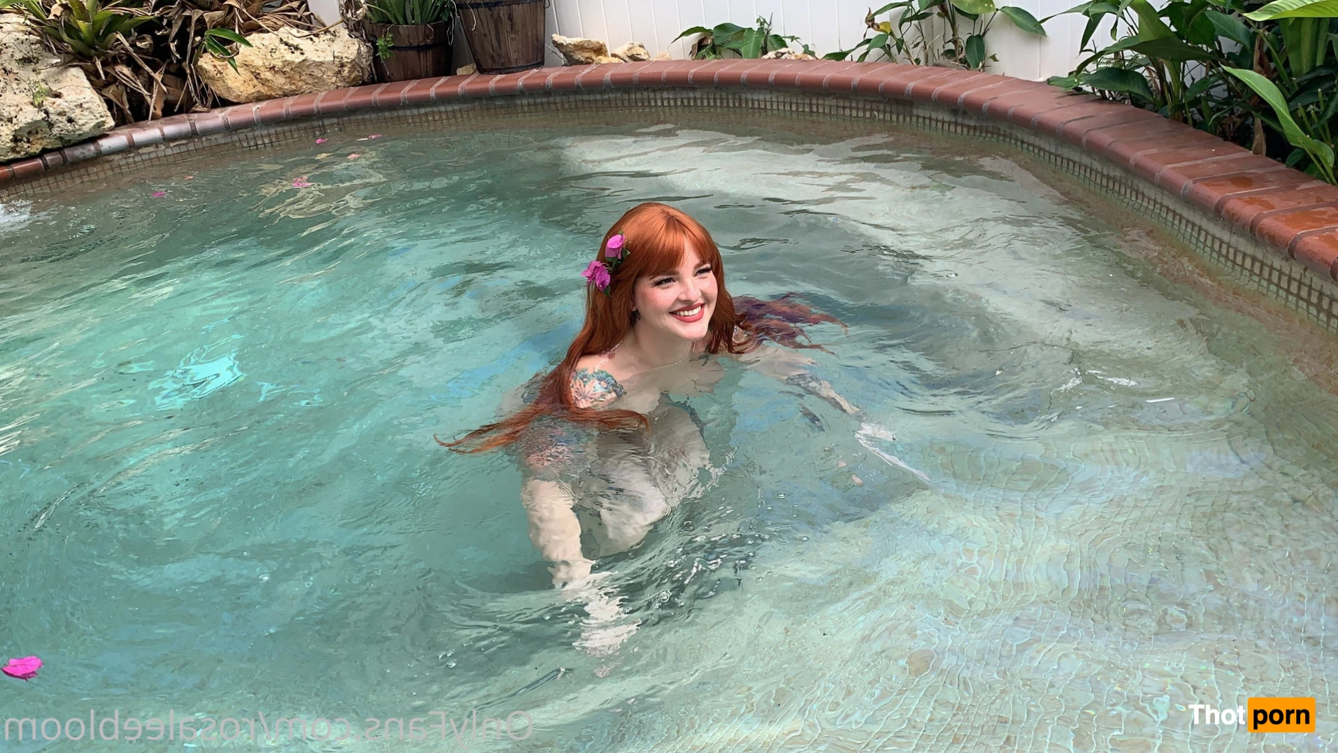 Rosa Magnolia 🌹 12845625