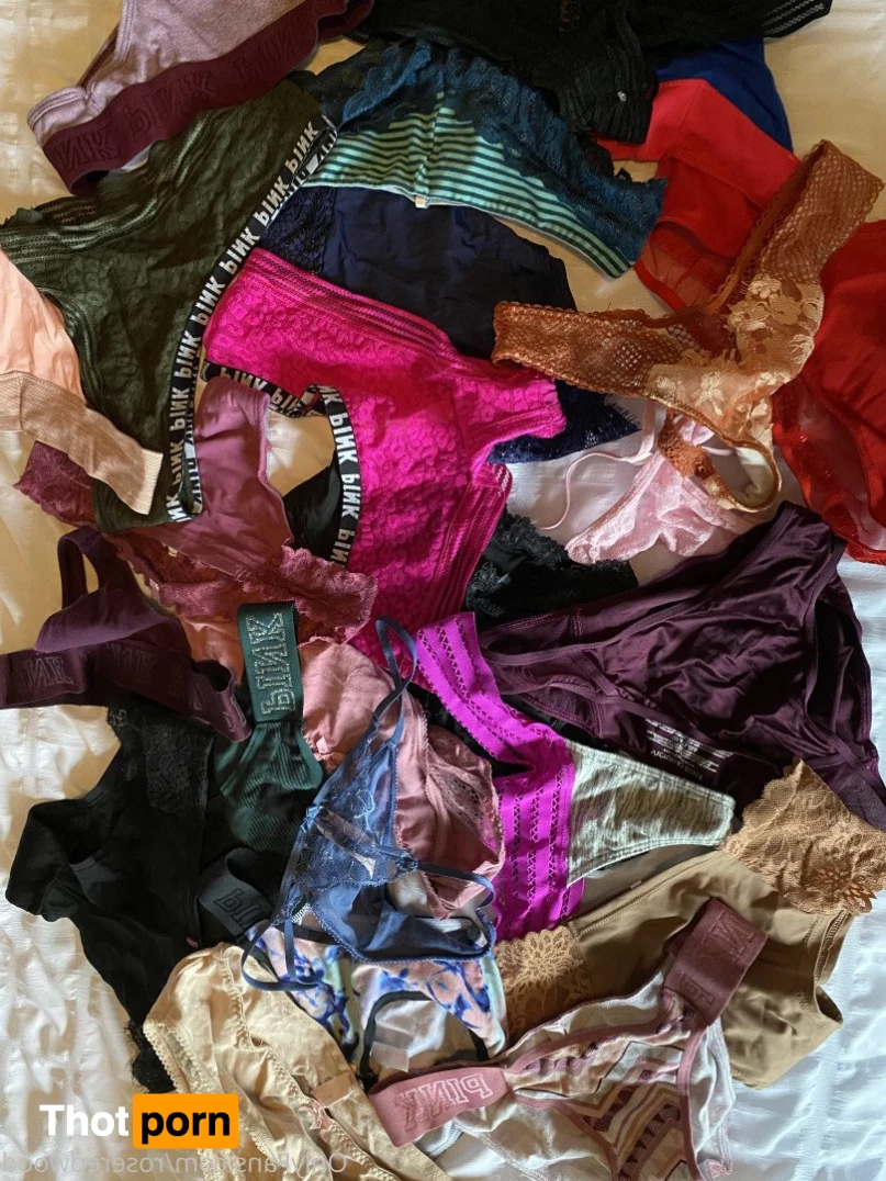 Rose Redwood 2874168