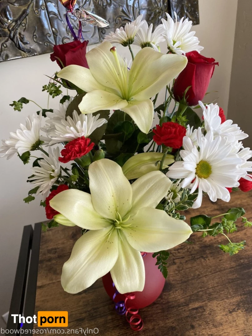 Rose Redwood 2874223