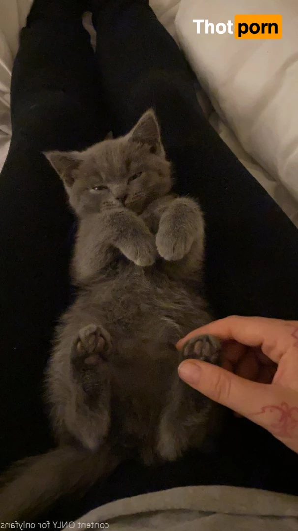 𝘼𝙈𝘼𝙍𝘼 𝙁𝙊𝙓 2872206