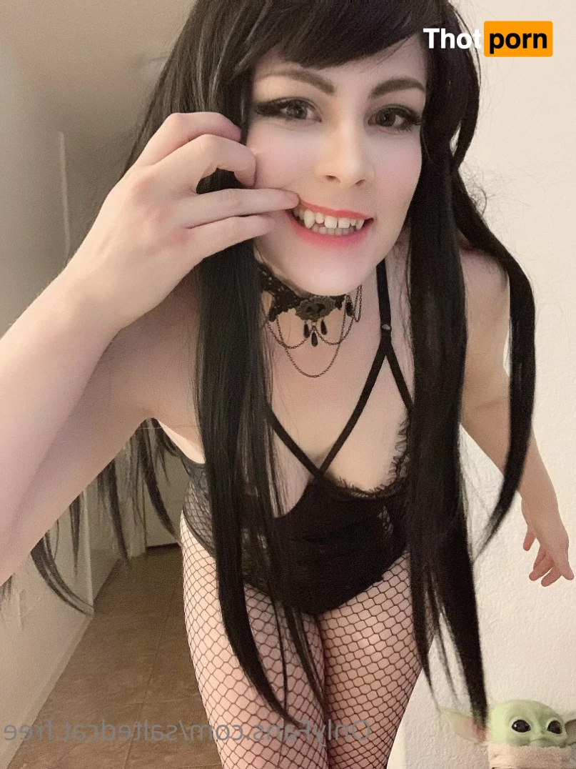 FREE Creamie.Kitten 3025239