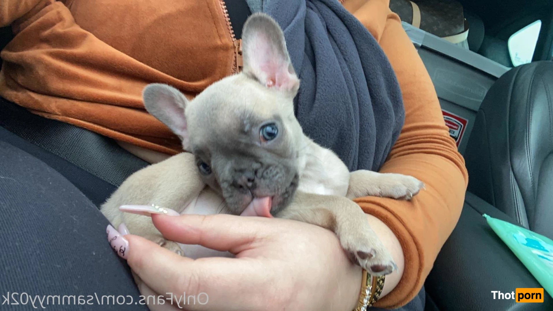 sammyy02k FREE 7445154