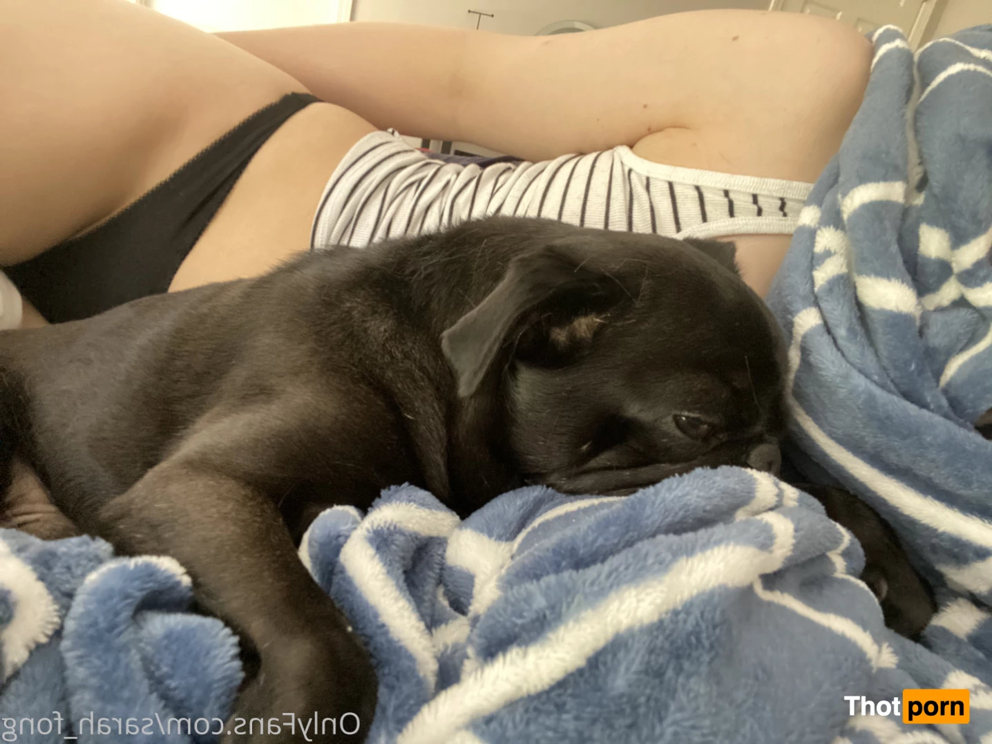 ✨💖Sarah Fong 💖✨ 5913913