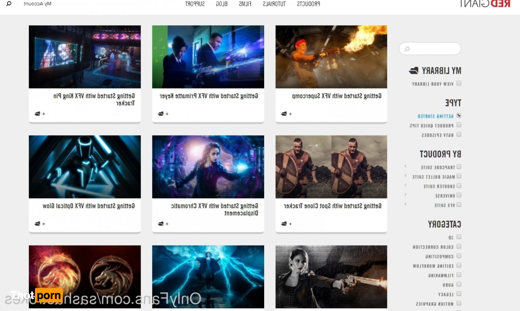 Sasha Strokes 2839895