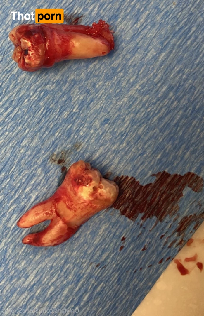 Sasha Strokes 5789182