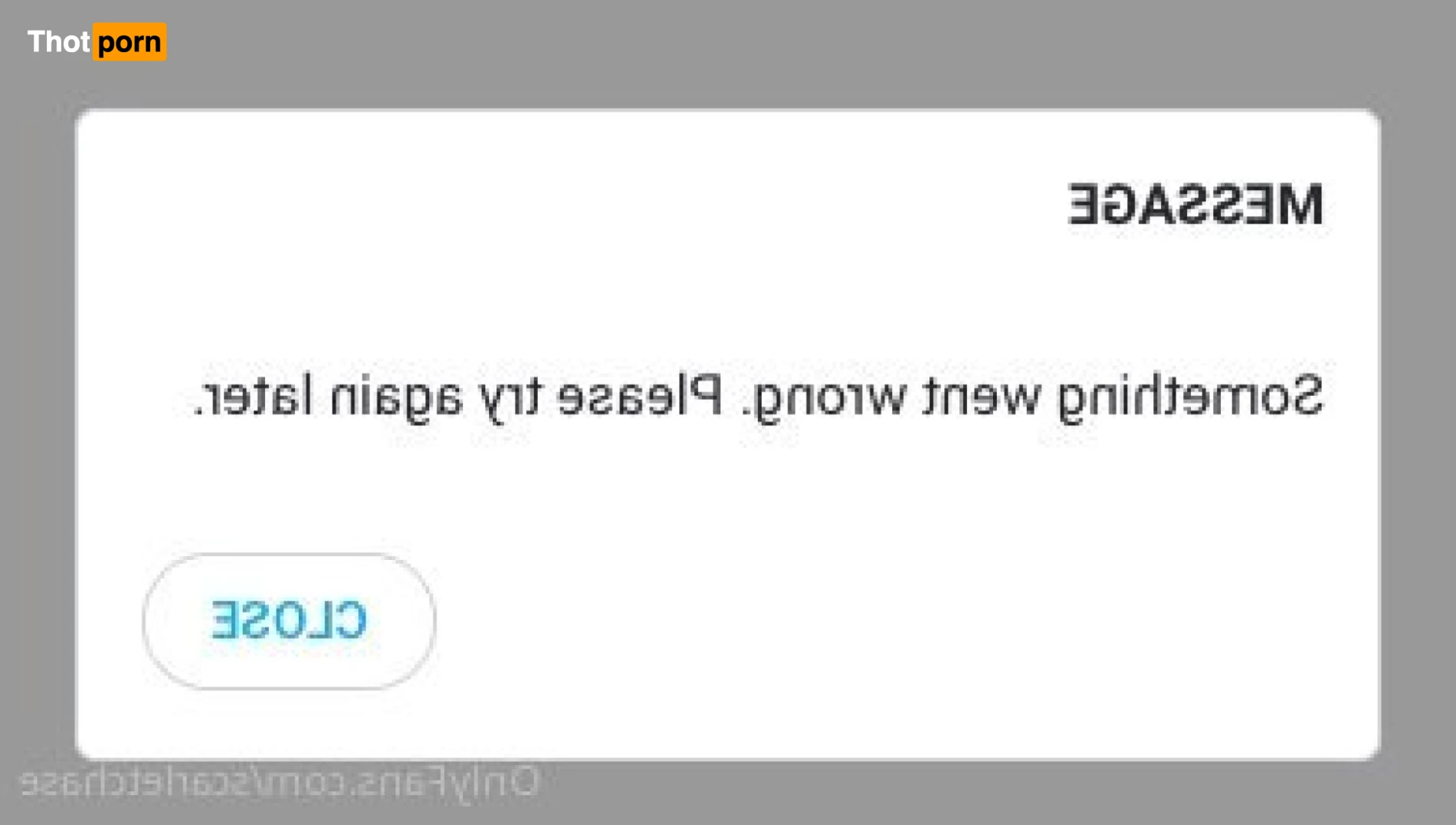 Scarlet Chase 12529553