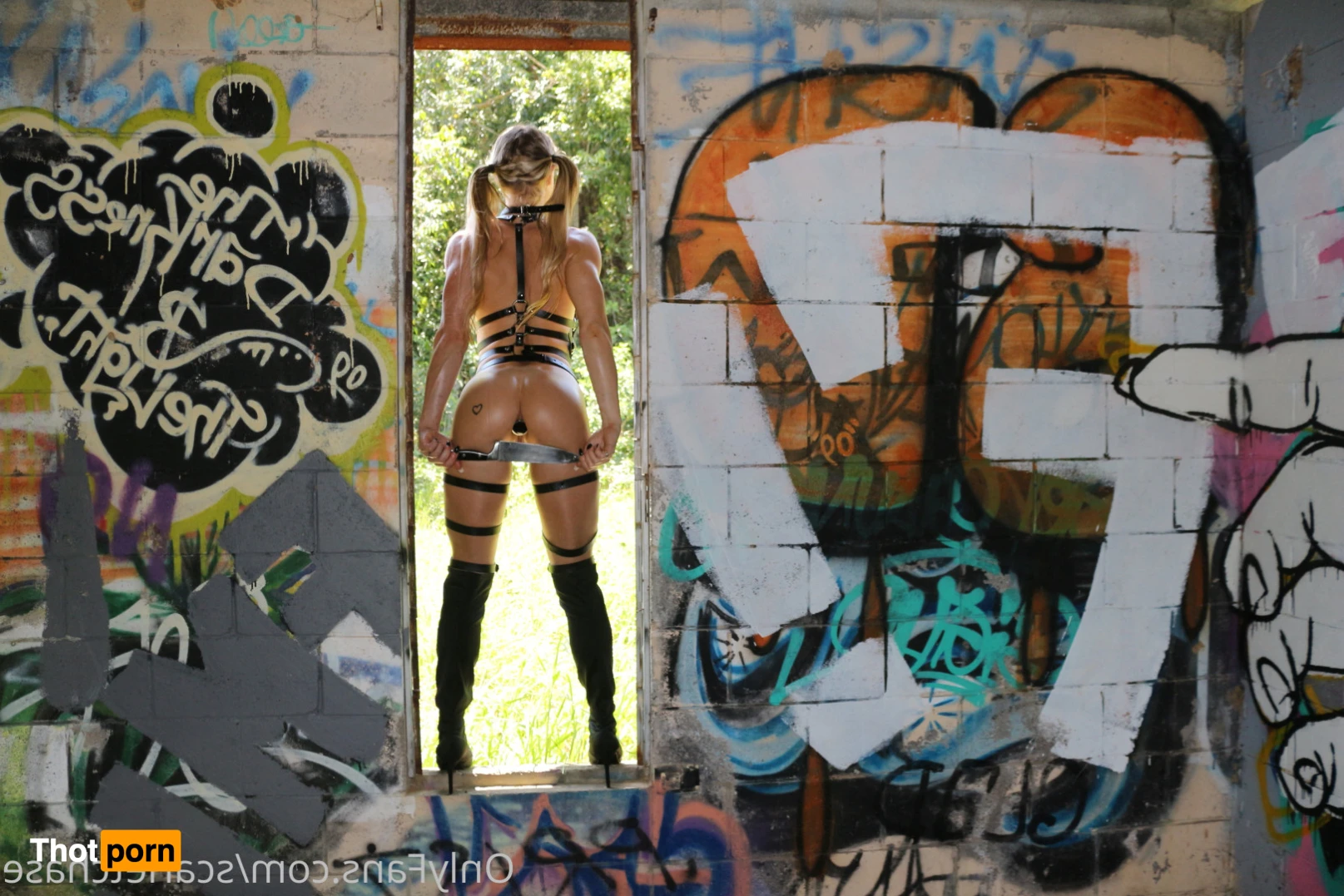 Scarlet Chase 12529631