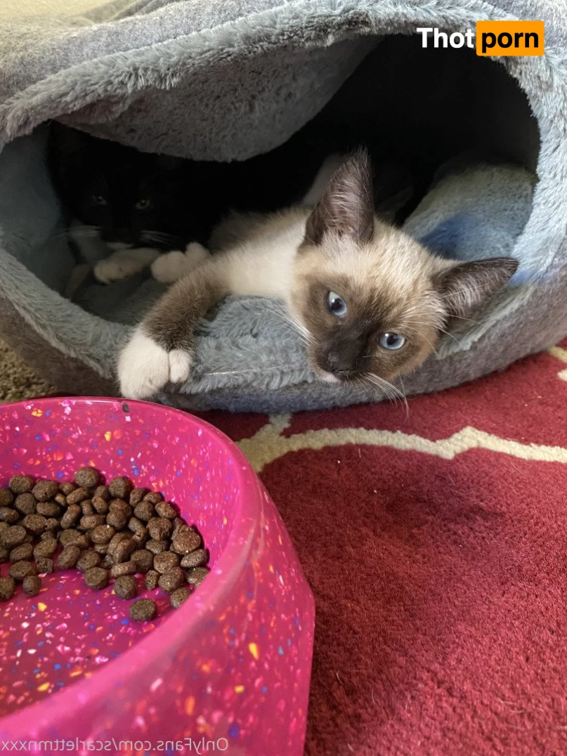 💞ScarlettMnxxxVIP💞 2728725