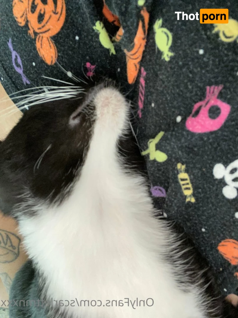 💞ScarlettMnxxxVIP💞 2728845