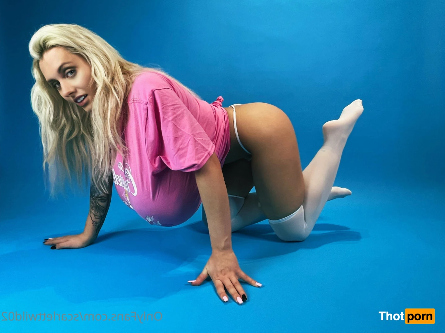 Scarlett Wild 5788773