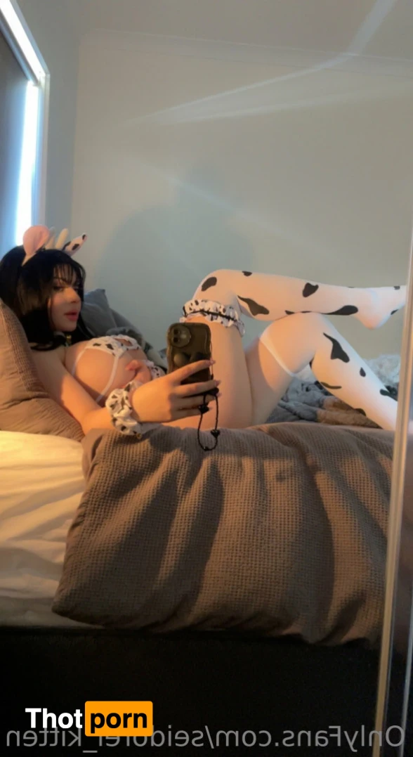 Seidorei Kitten 12393682