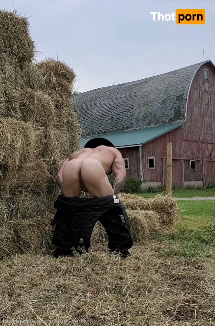 sherman.tank 7903914