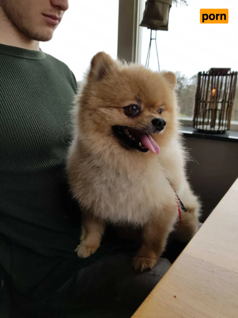 Elise The Butt Princess 15395076