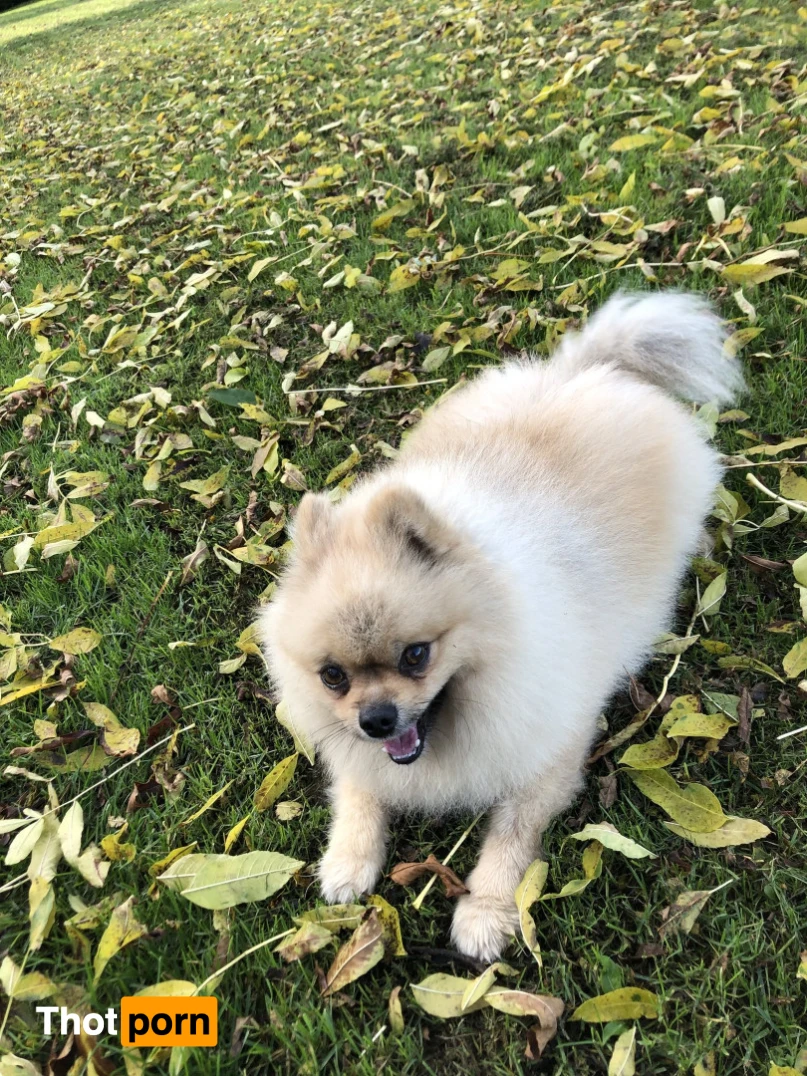 Elise The Butt Princess 15499812