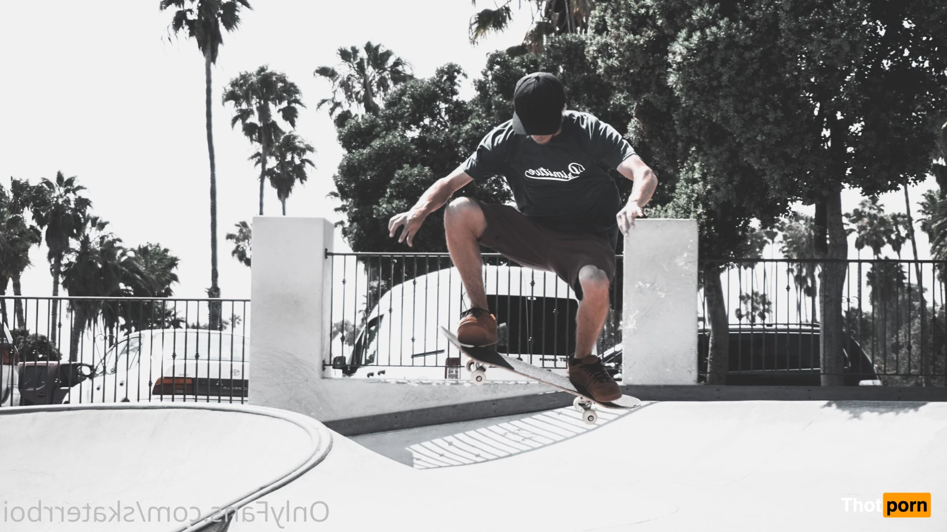 skatin with will 2974910