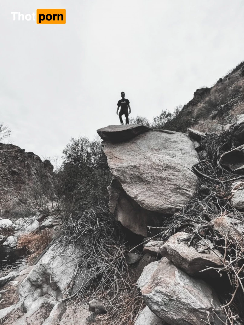 skatin with will 2974937