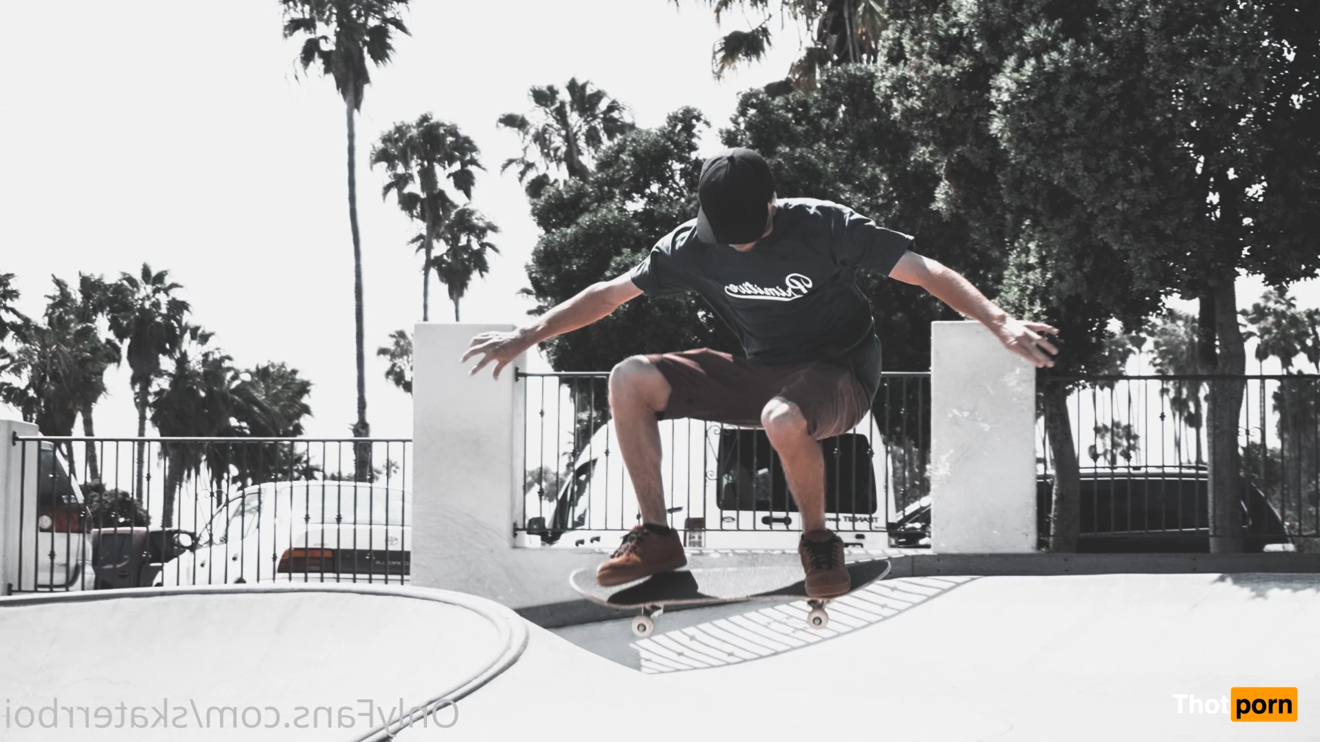 skatin with will 2975309