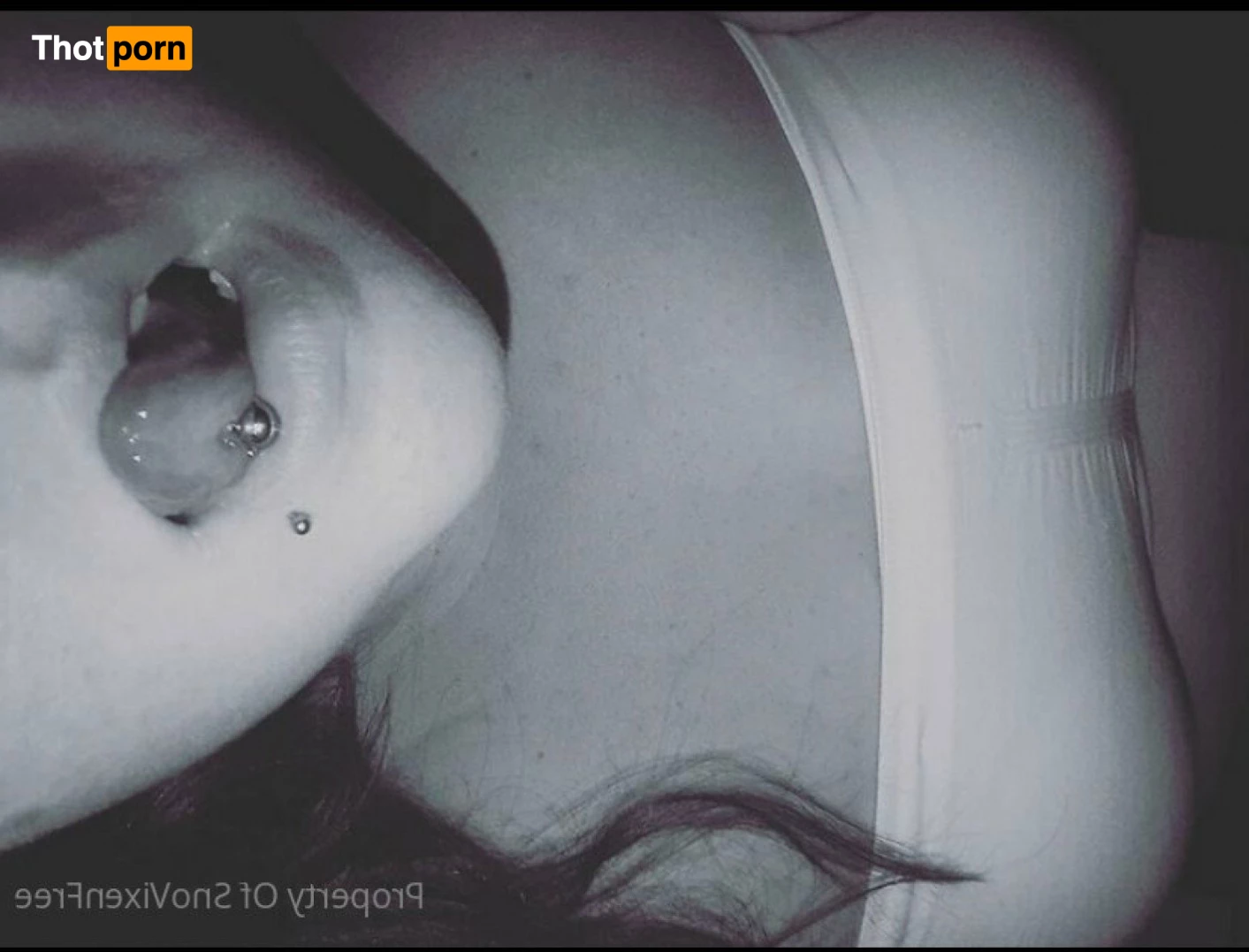 snovixenfree 2646874