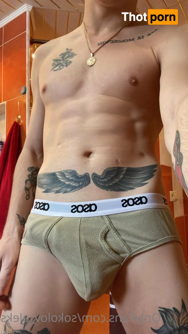 Sokolov Aleksandr 2673017