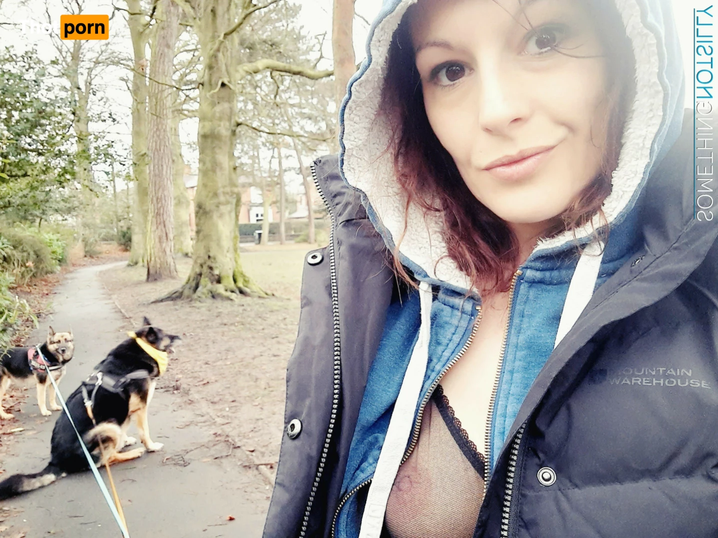 somethingnotsilly 5887274