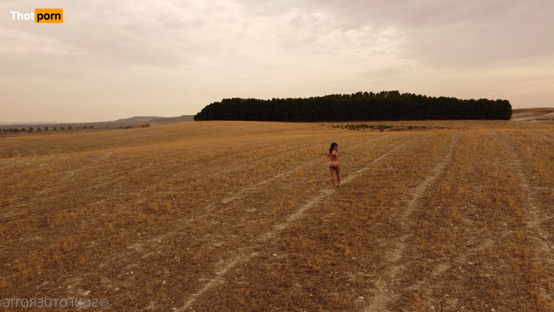 Sonfotoerotic 11765137