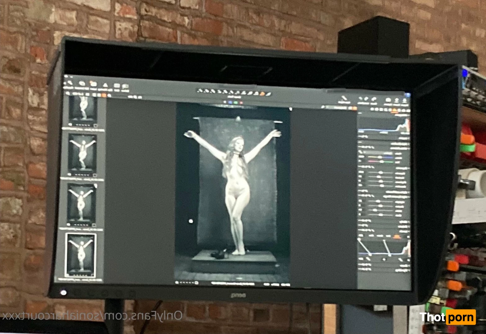 Sonia Harcourt 2723462