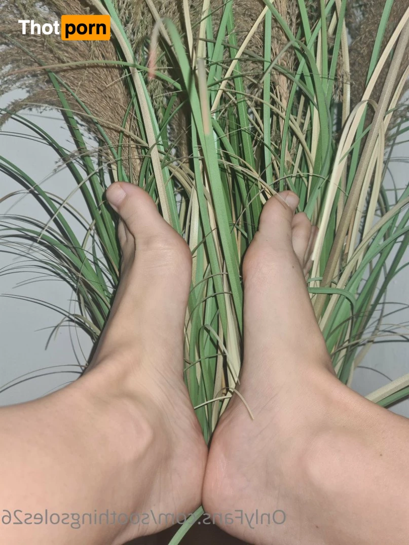 Soothingsoles👣 2699023