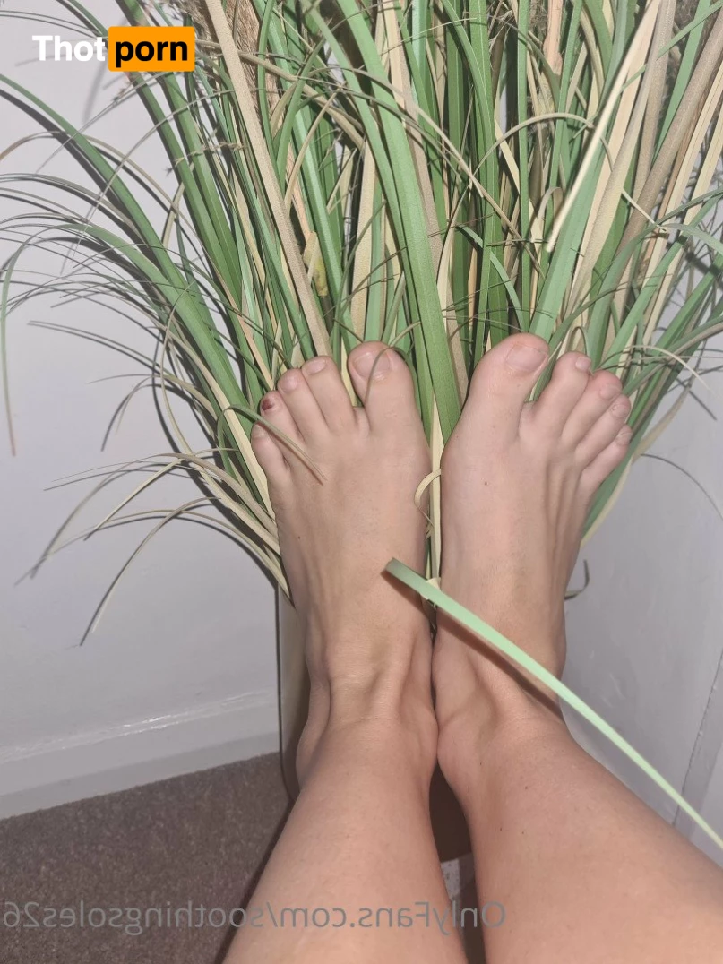 Soothingsoles👣 2699037