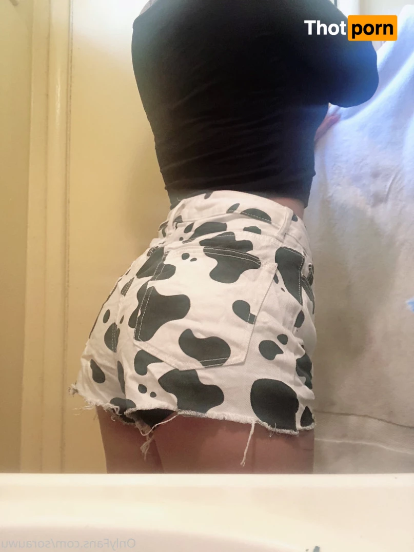 ur fav bunny 5732303