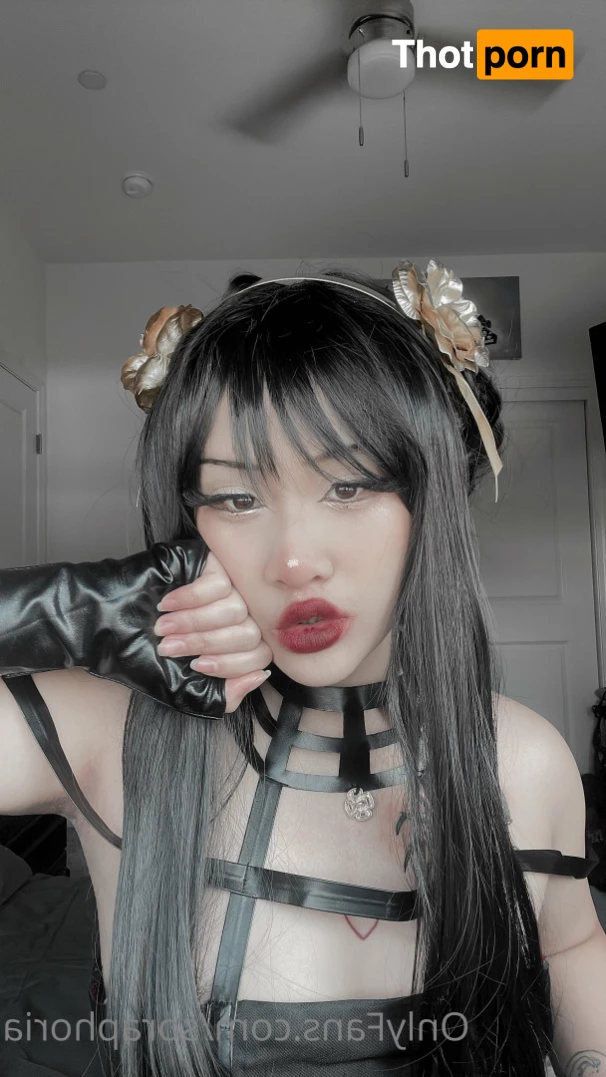 ur fav bunny 5732340