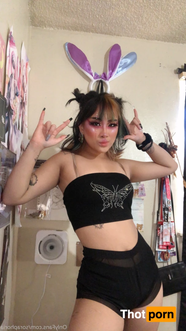 ur fav bunny 5732386