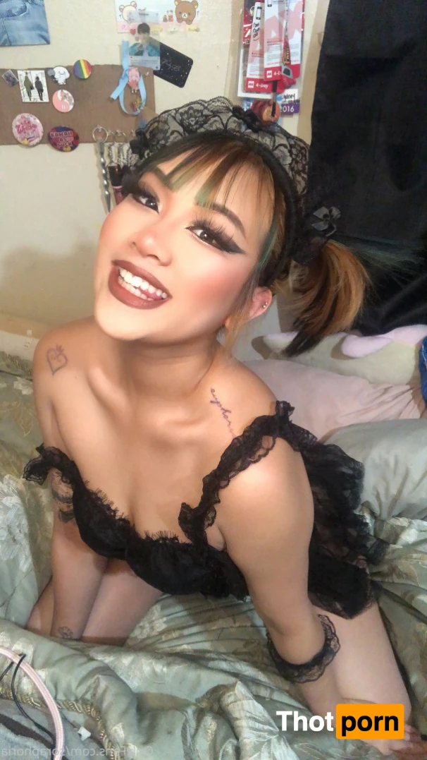 ur fav bunny 5732438