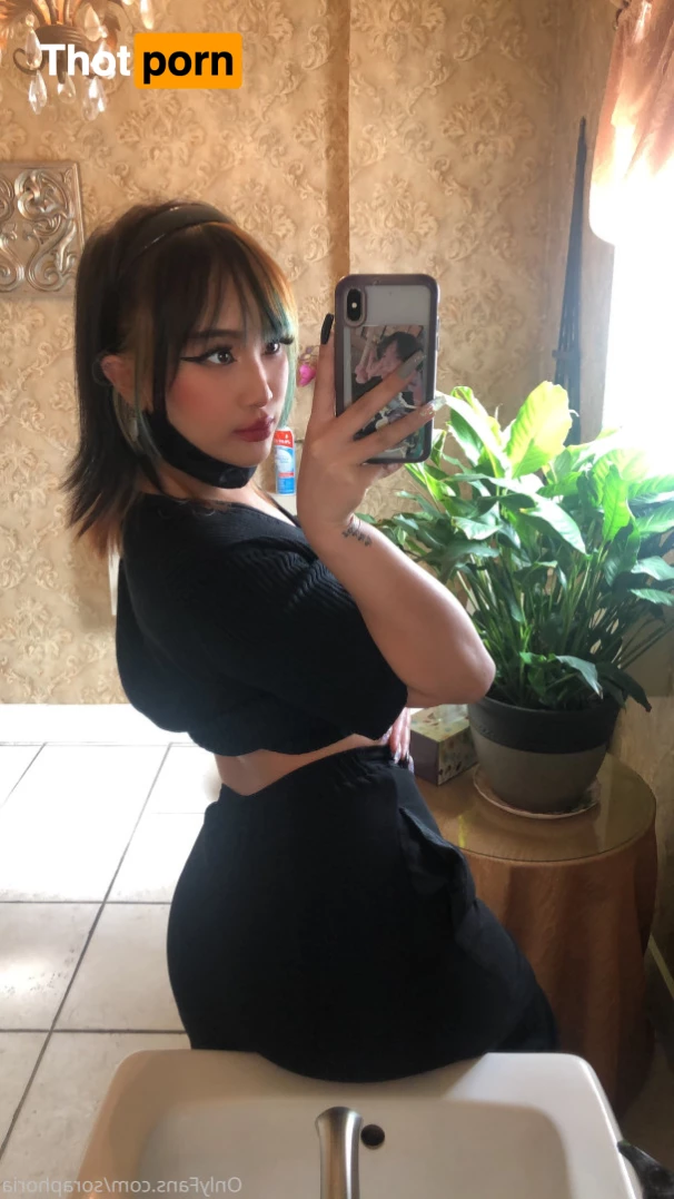 ur fav bunny 5732445