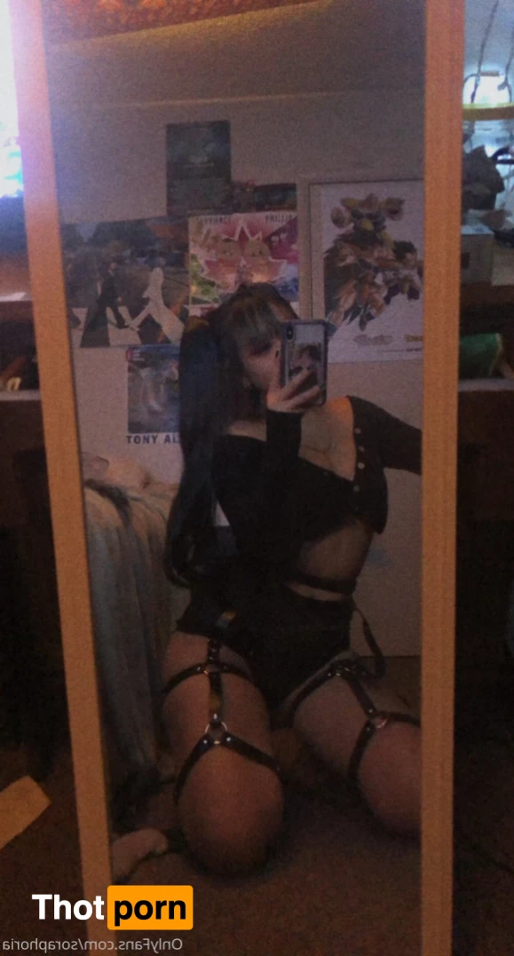 ur fav bunny 5732454