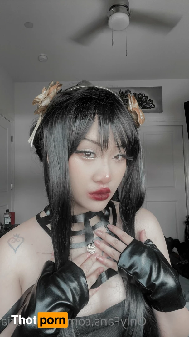 ur fav bunny 5732461