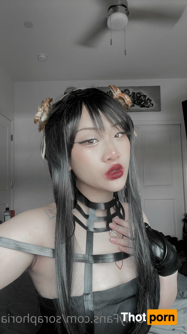 ur fav bunny 5732480