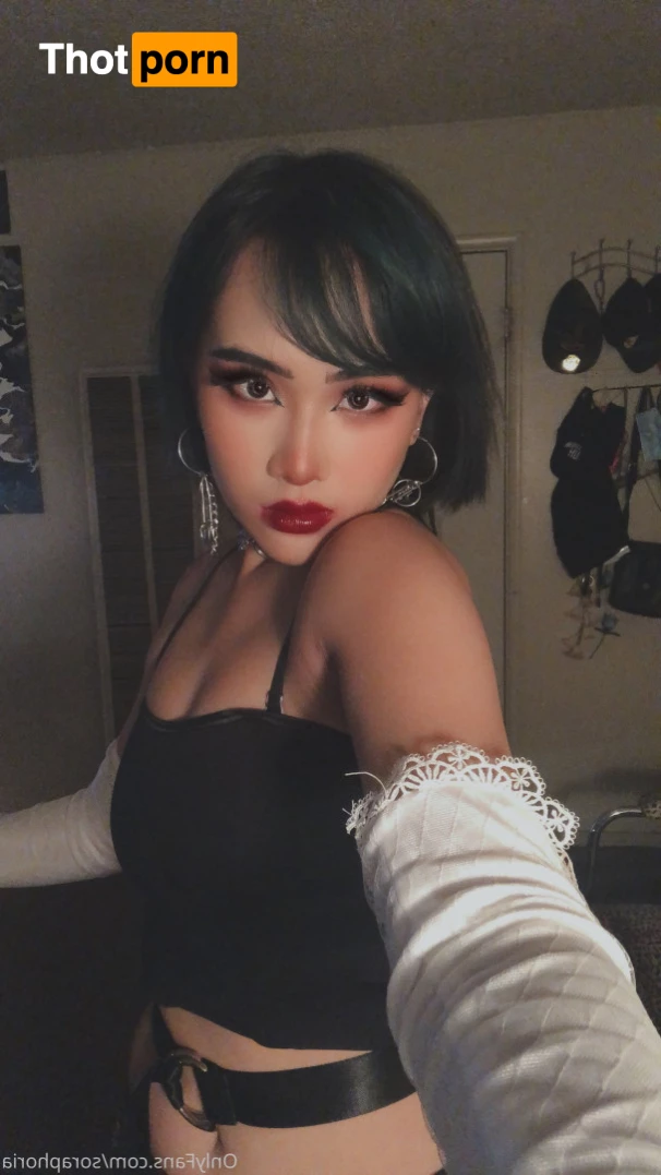 ur fav bunny 5732609