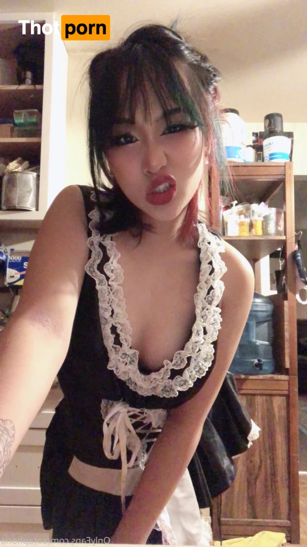 ur fav bunny 5732619