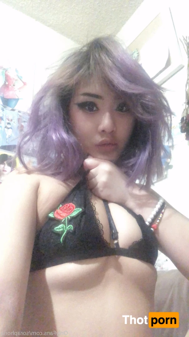 ur fav bunny 5732628