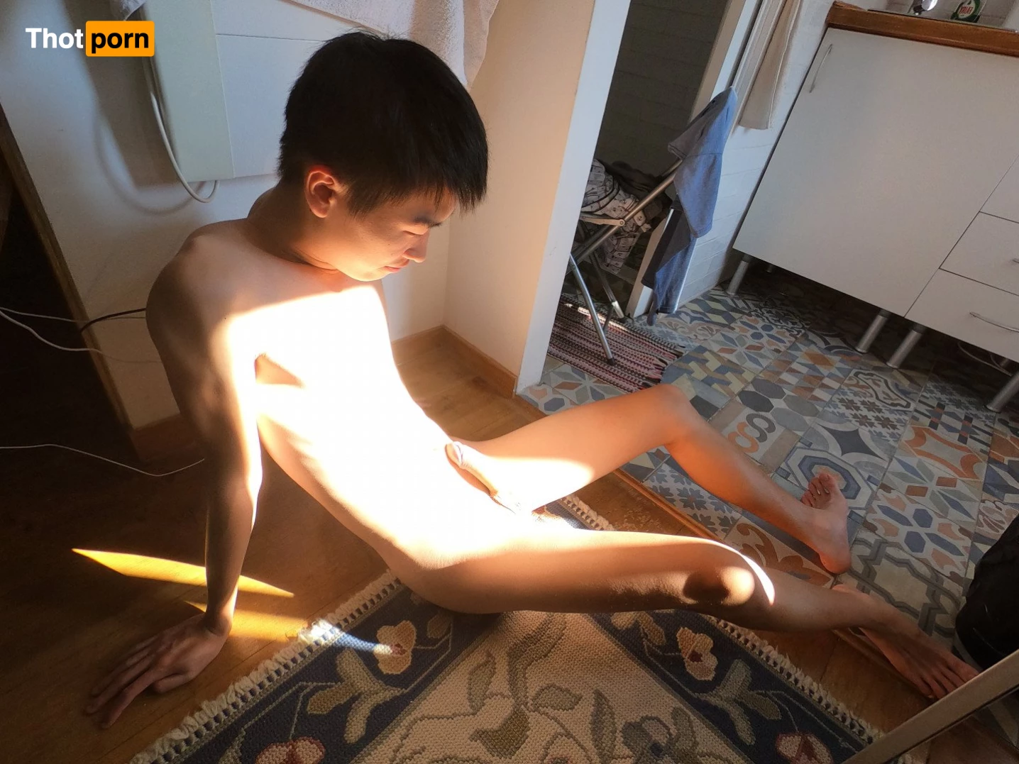 Stallion and Bunny 2644997