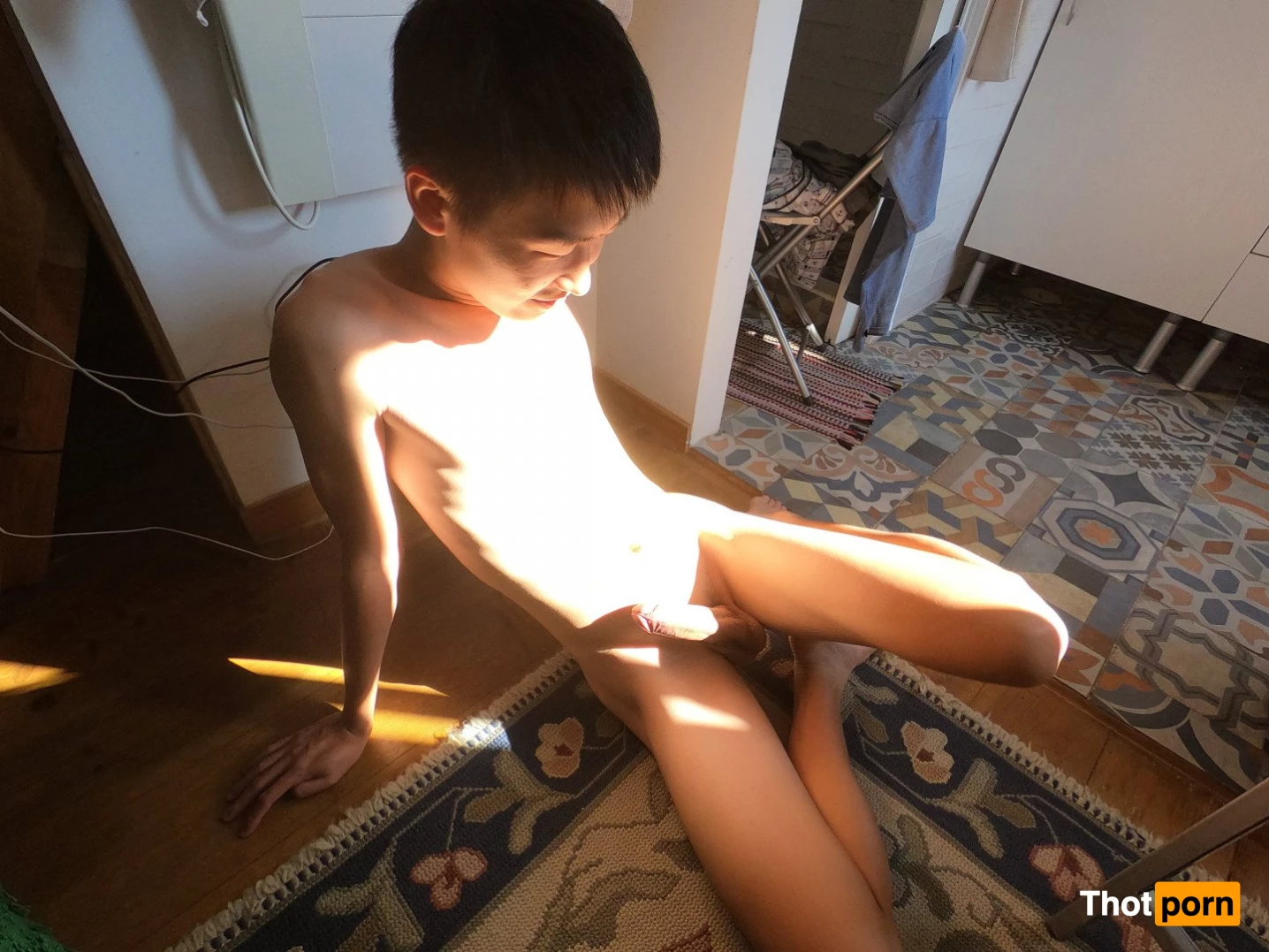 Stallion and Bunny 2645076