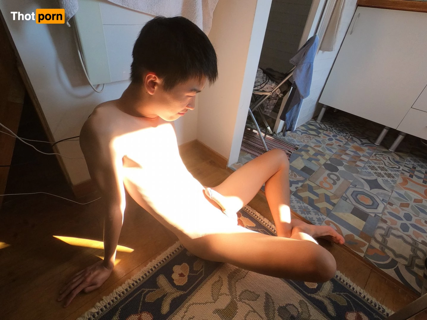 Stallion and Bunny 2645110